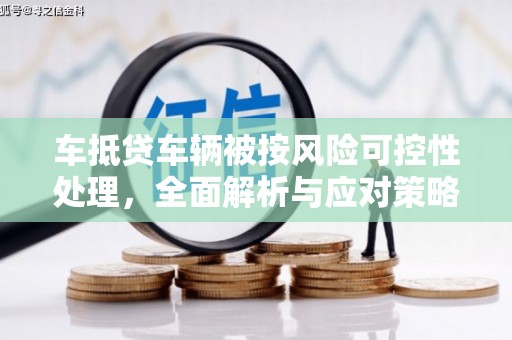 龙游车抵贷车辆被按风险可控性处理，全面解析与应对策略