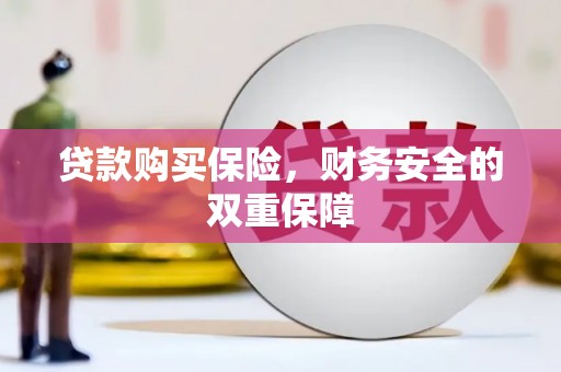 昭通贷款购买保险，财务安全的双重保障