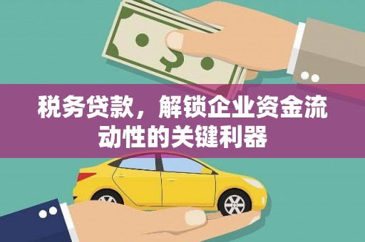 绥棱税务贷款，解锁企业资金流动性的关键利器