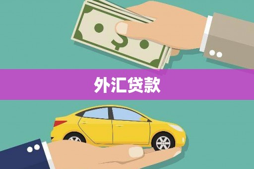 南县外汇贷款