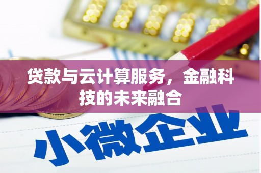 大雅贷款与云计算服务，金融科技的未来融合