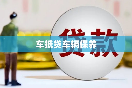 嘉鱼车抵贷车辆保养