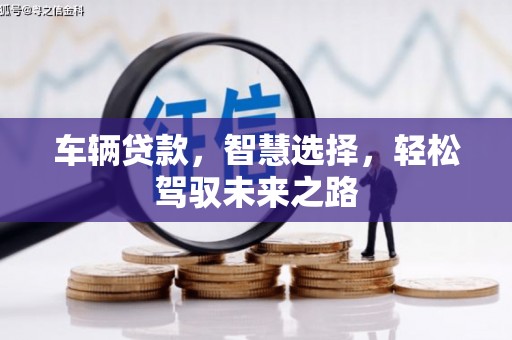 连南车辆贷款，智慧选择，轻松驾驭未来之路