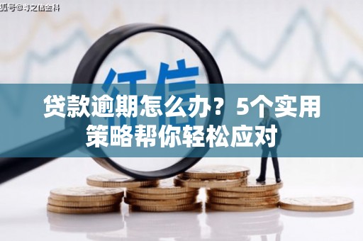 谷城贷款逾期怎么办？5个实用策略帮你轻松应对