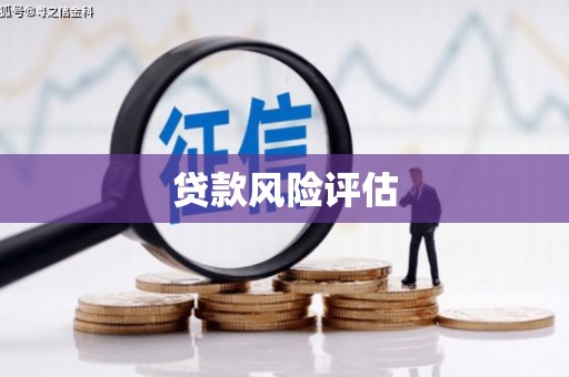 新港贷款风险评估