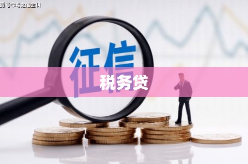 岚皋税务贷