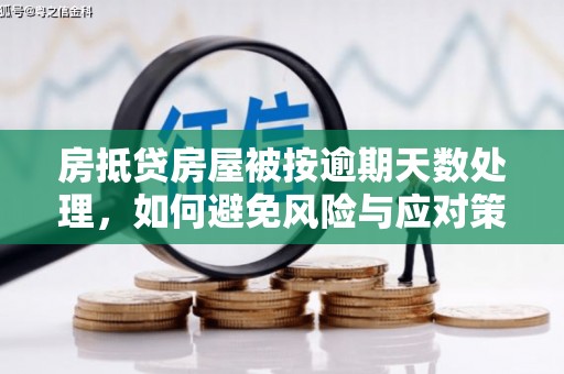 青阳房抵贷房屋被按逾期天数处理，如何避免风险与应对策略