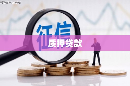 龙游质押贷款