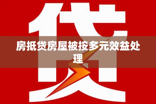 朗县房抵贷房屋被按多元效益处理