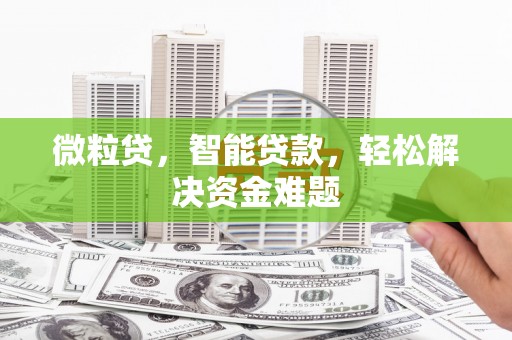 苑里微粒贷，智能贷款，轻松解决资金难题