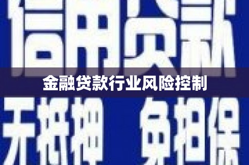 大荔金融贷款行业风险控制