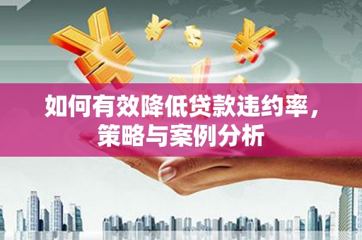 龙文如何有效降低贷款违约率，策略与案例分析