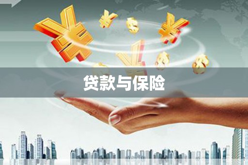 龙文贷款与保险
