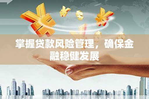 龙文掌握贷款风险管理，确保金融稳健发展