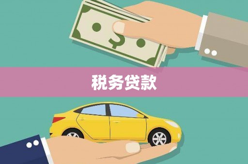 西秀税务贷款