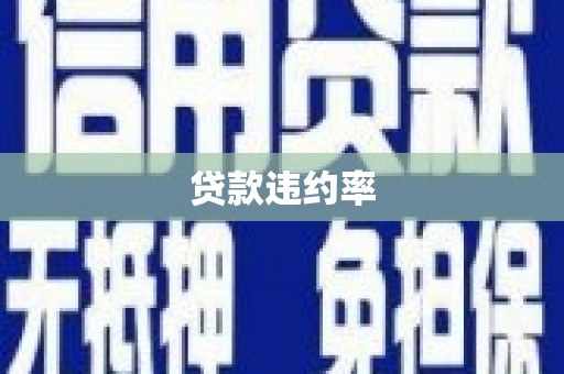 大东贷款违约率