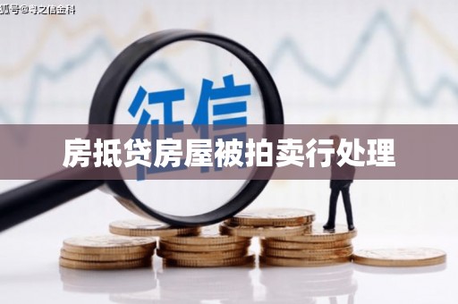 望德堂区房抵贷房屋被拍卖行处理
