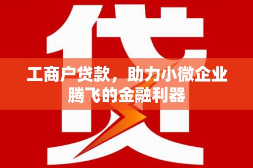抚远工商户贷款，助力小微企业腾飞的金融利器
