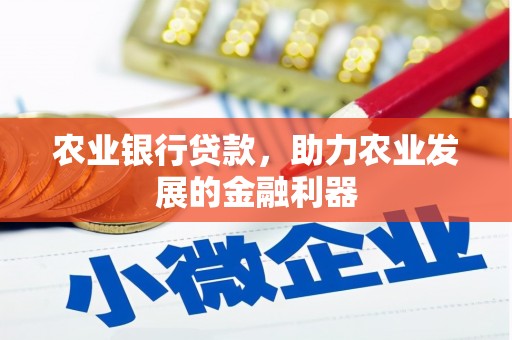 建昌农业银行贷款，助力农业发展的金融利器