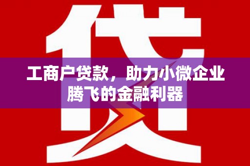 湖滨工商户贷款，助力小微企业腾飞的金融利器