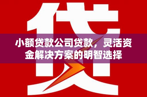 仪征小额贷款公司贷款，灵活资金解决方案的明智选择