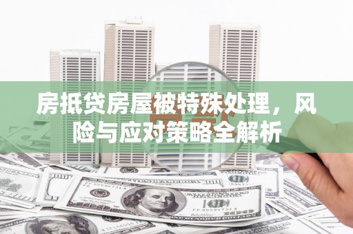 白碱滩房抵贷房屋被特殊处理，风险与应对策略全解析