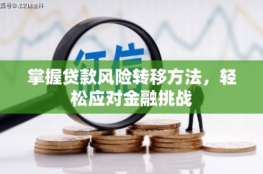 南乐掌握贷款风险转移方法，轻松应对金融挑战