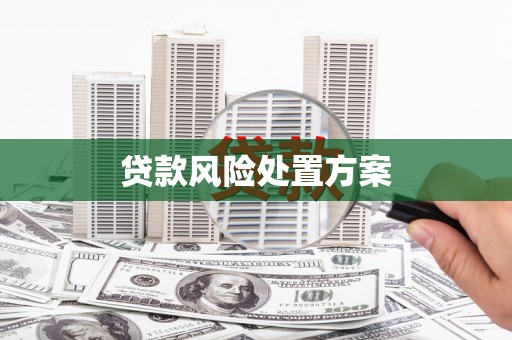 保税港区贷款风险处置方案