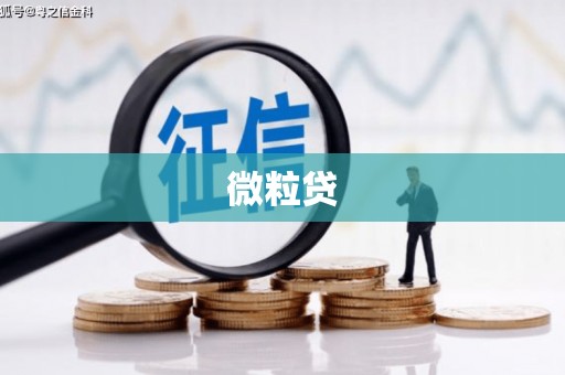 椒江微粒贷