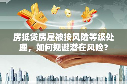 蔡甸房抵贷房屋被按风险等级处理，如何规避潜在风险？
