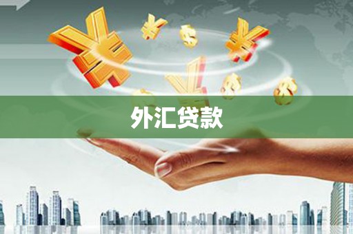 南区外汇贷款