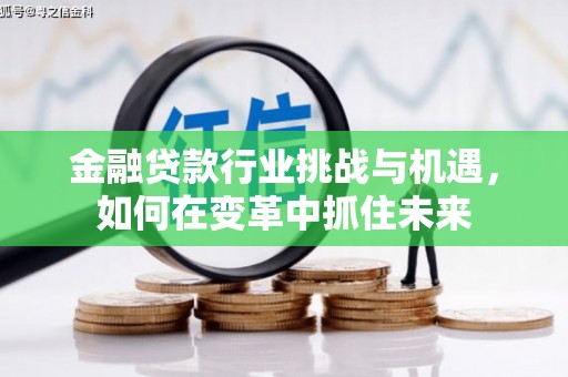 蔡甸金融贷款行业挑战与机遇，如何在变革中抓住未来