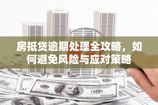 陆良房抵贷逾期处理全攻略，如何避免风险与应对策略