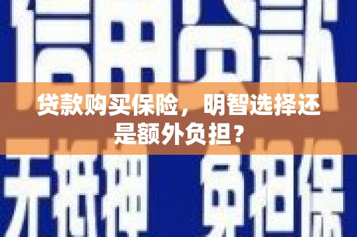 伍家岗贷款购买保险，明智选择还是额外负担？