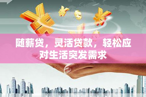 大雅随薪贷，灵活贷款，轻松应对生活突发需求