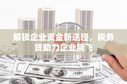 玄武解锁企业资金新途径，税务贷助力企业腾飞