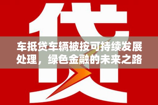 三元车抵贷车辆被按可持续发展处理，绿色金融的未来之路