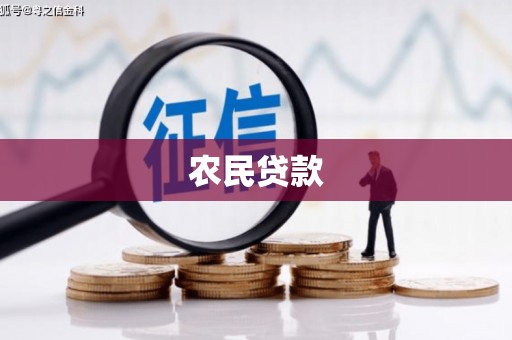 罗田农民贷款