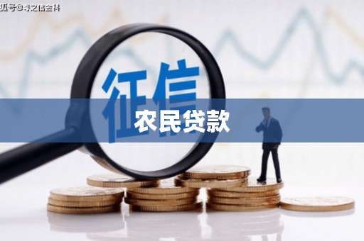 罗田农民贷款