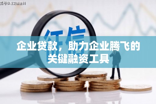 龙圩企业贷款，助力企业腾飞的关键融资工具