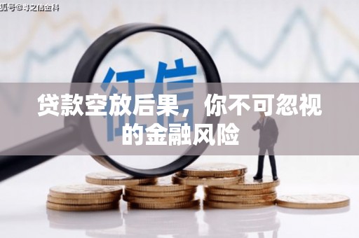 新干贷款空放后果，你不可忽视的金融风险