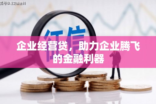 剑河企业经营贷，助力企业腾飞的金融利器