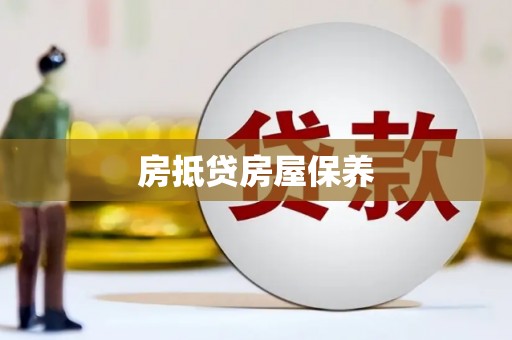 宿松房抵贷房屋保养