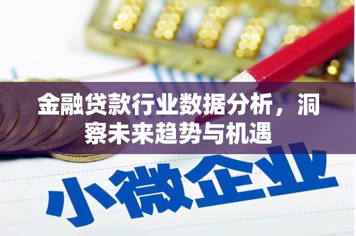 福鼎金融贷款行业数据分析，洞察未来趋势与机遇