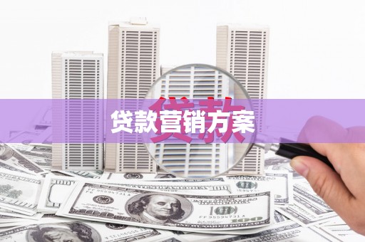 谯城贷款营销方案