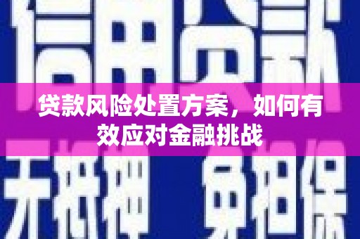 虹口贷款风险处置方案，如何有效应对金融挑战