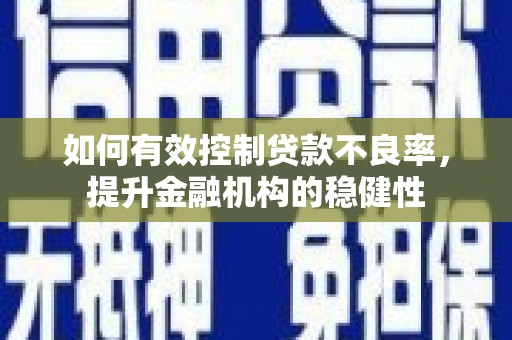 达仁如何有效控制贷款不良率，提升金融机构的稳健性