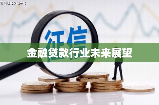 新市金融贷款行业未来展望