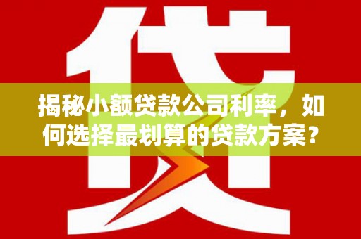 峨边揭秘小额贷款公司利率，如何选择最划算的贷款方案？