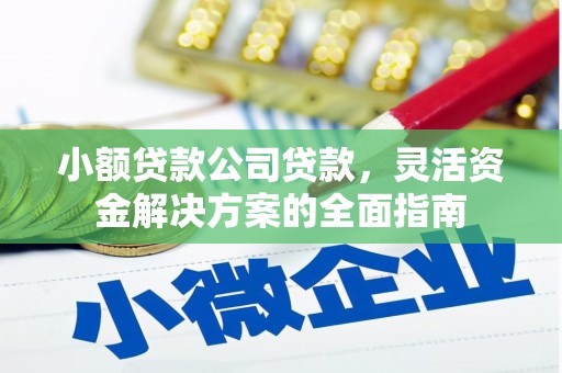 依安小额贷款公司贷款，灵活资金解决方案的全面指南